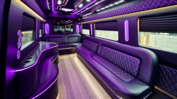 norman sprinter limo rental rental